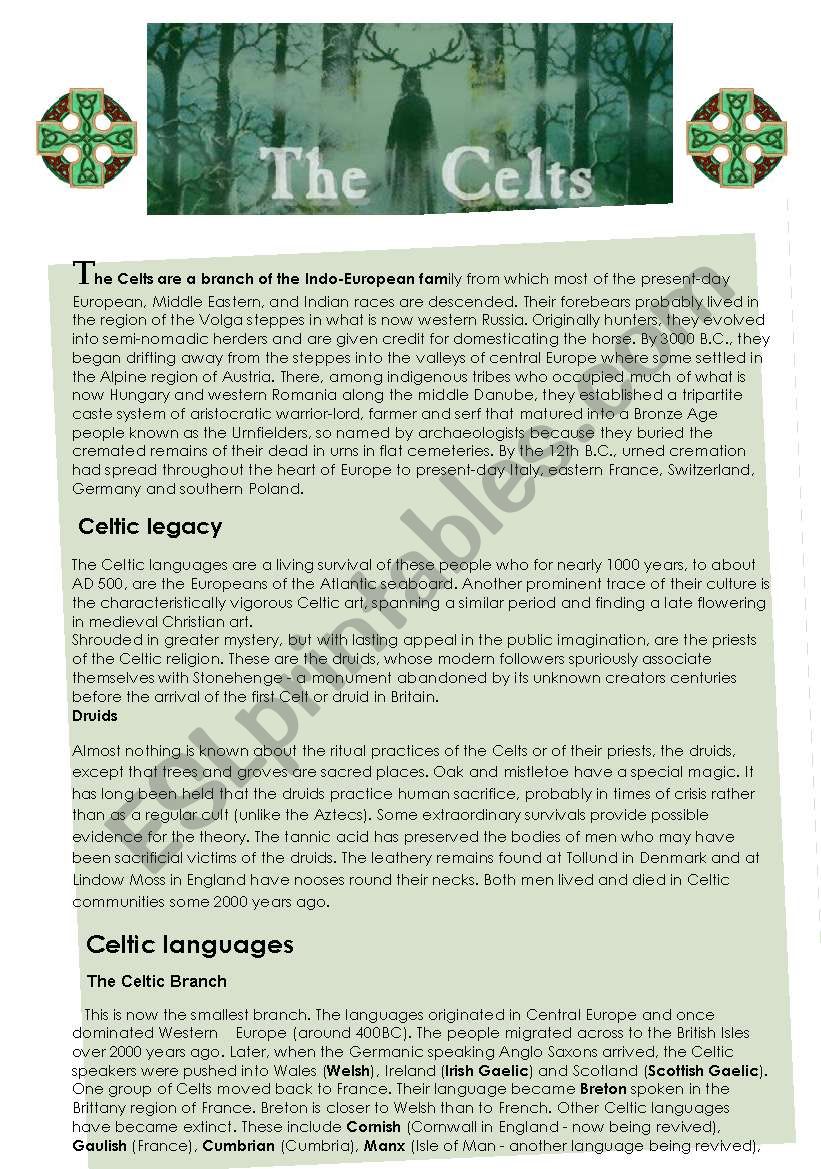 The Celts worksheet