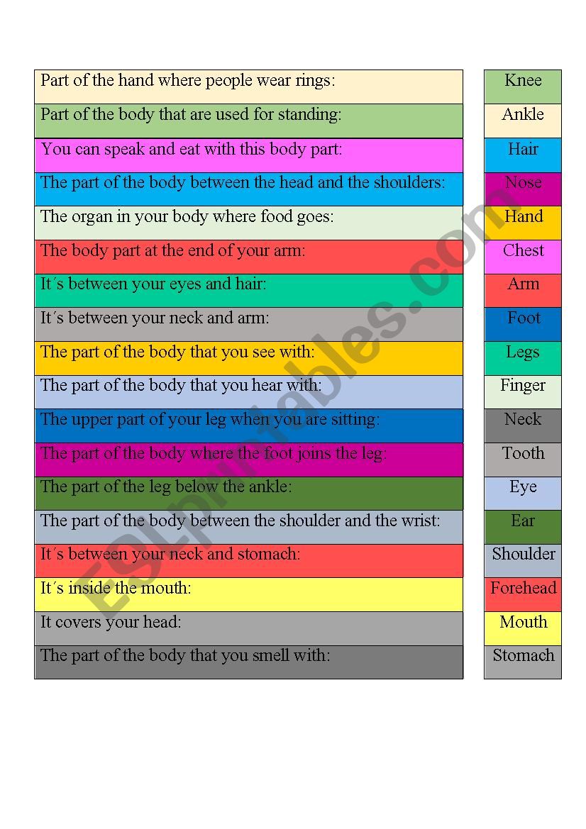 Body parts worksheet