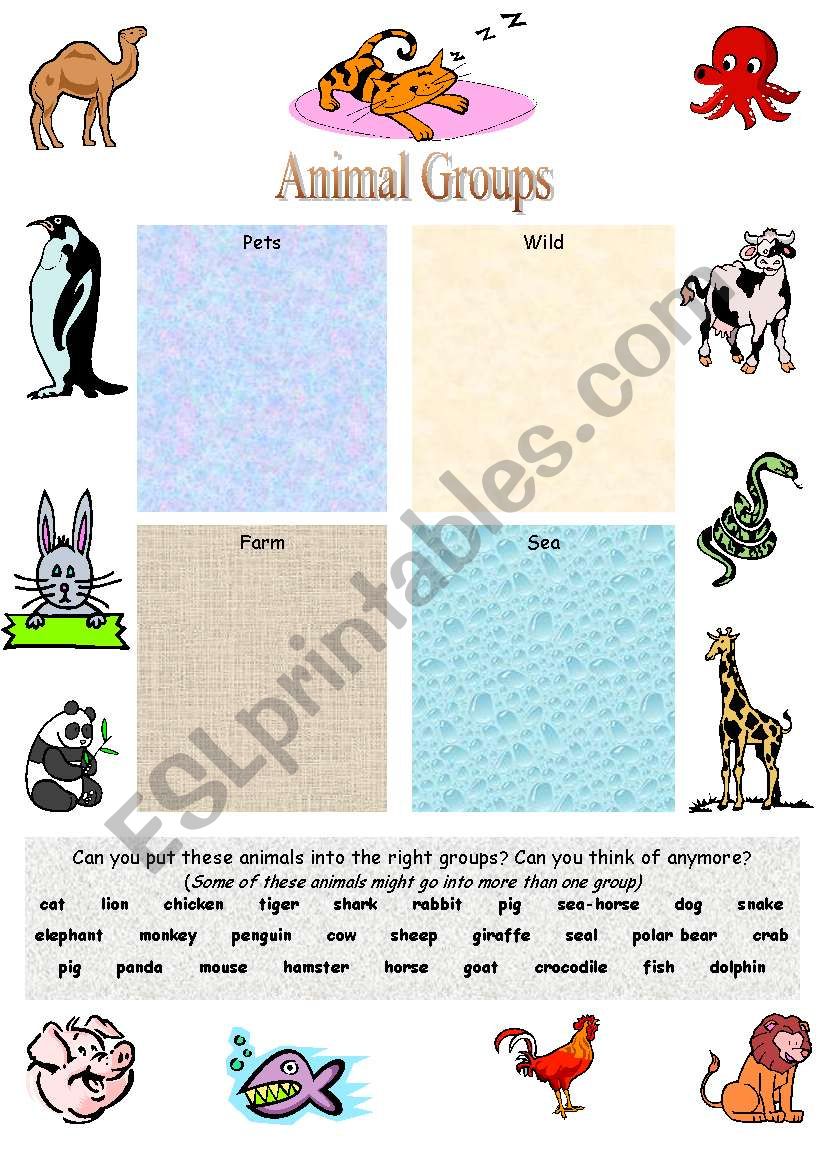 Animal Groups worksheet