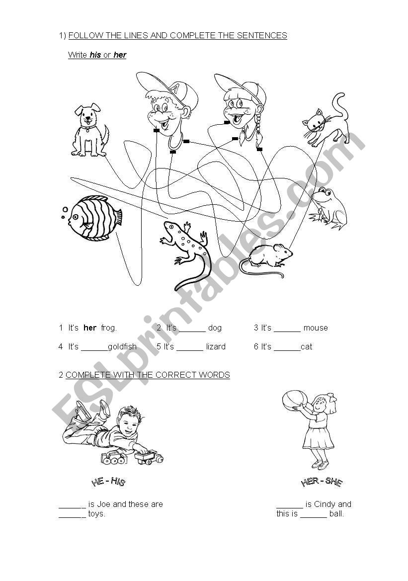 POSSESSIVE PRONOUNS worksheet