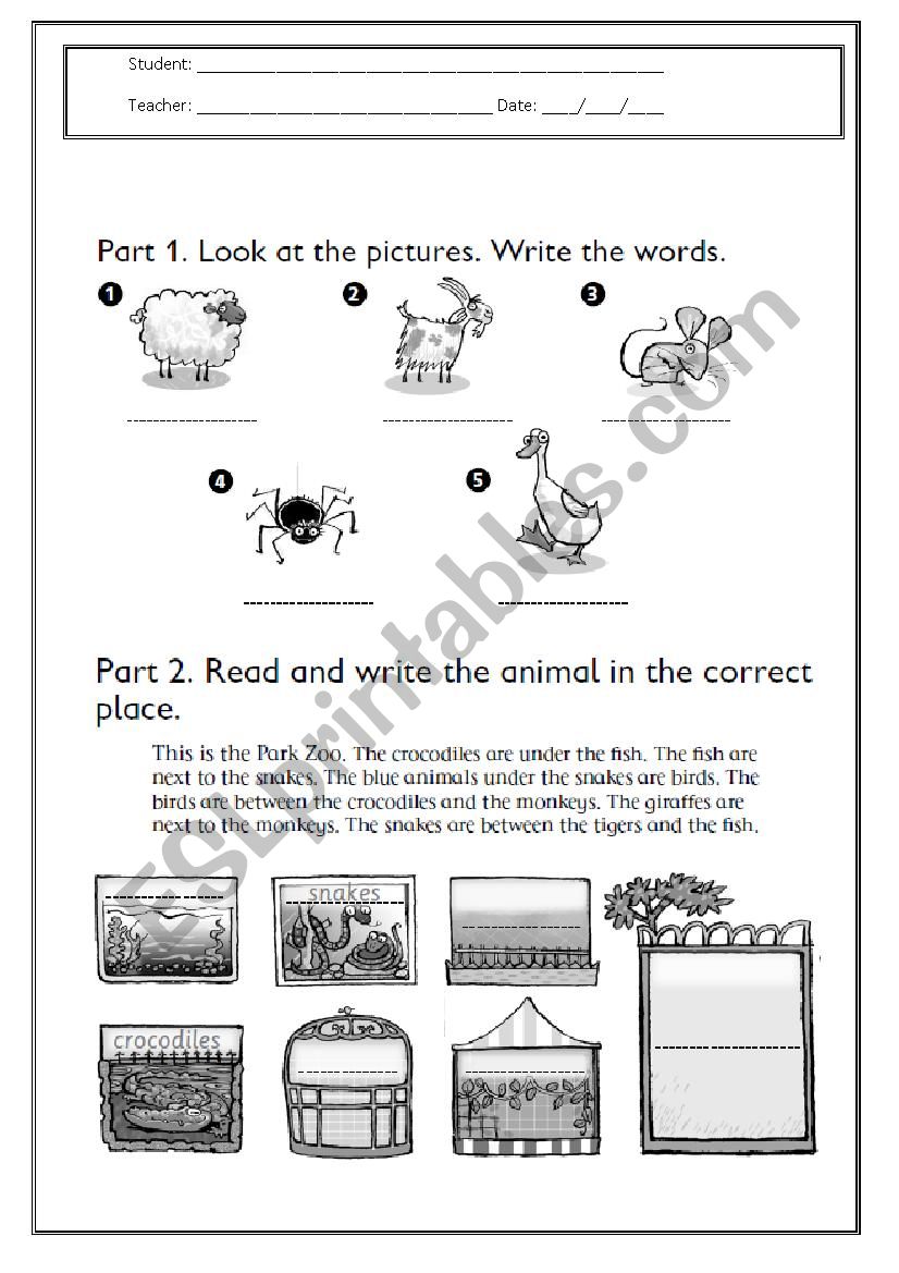 Animals and prepositions worksheet