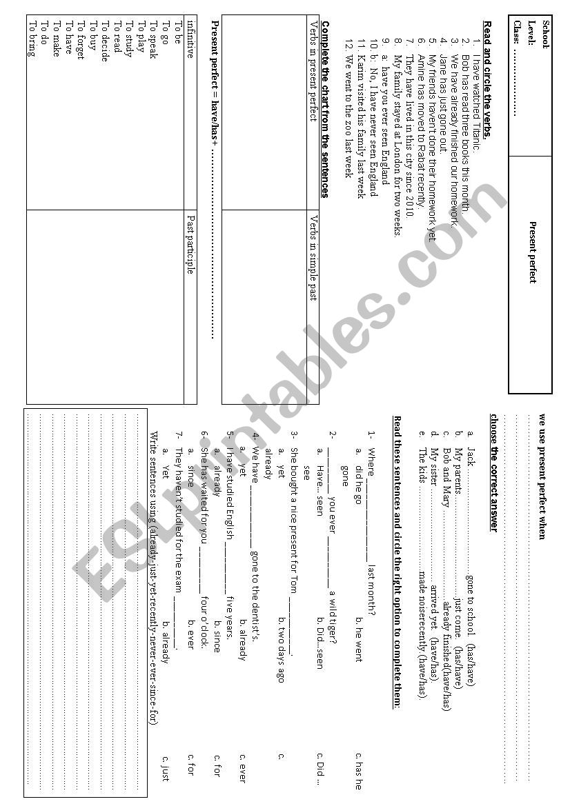 present perfect worksheet