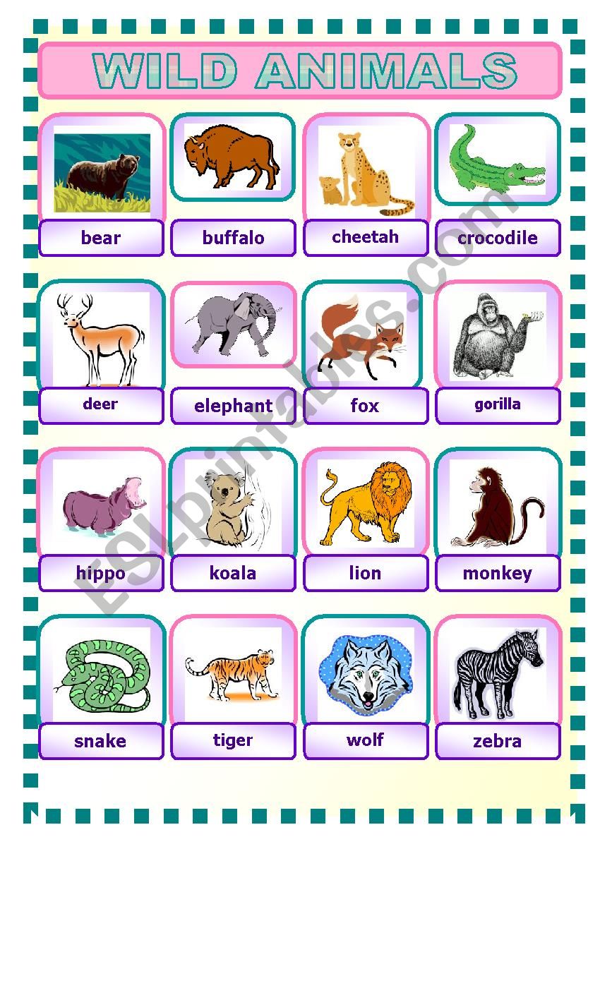 WILD ANIMALS worksheet