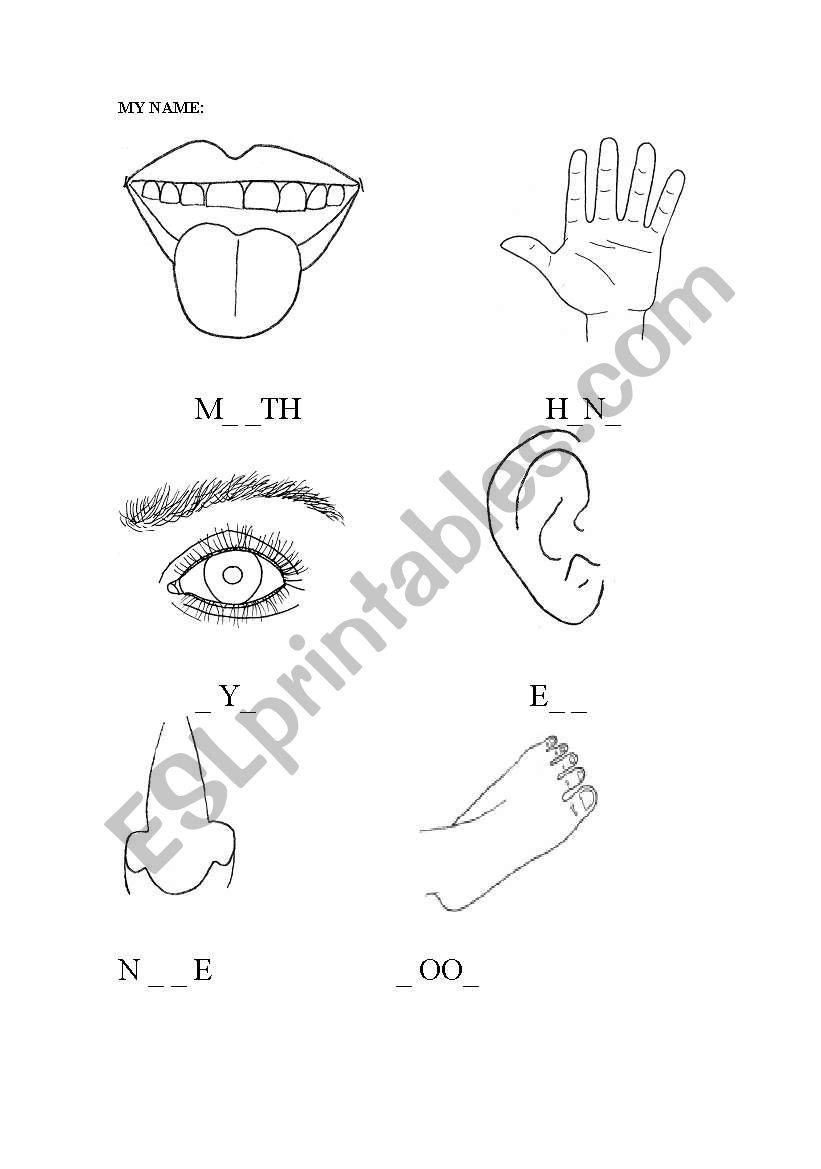 PARTS OF BODY worksheet