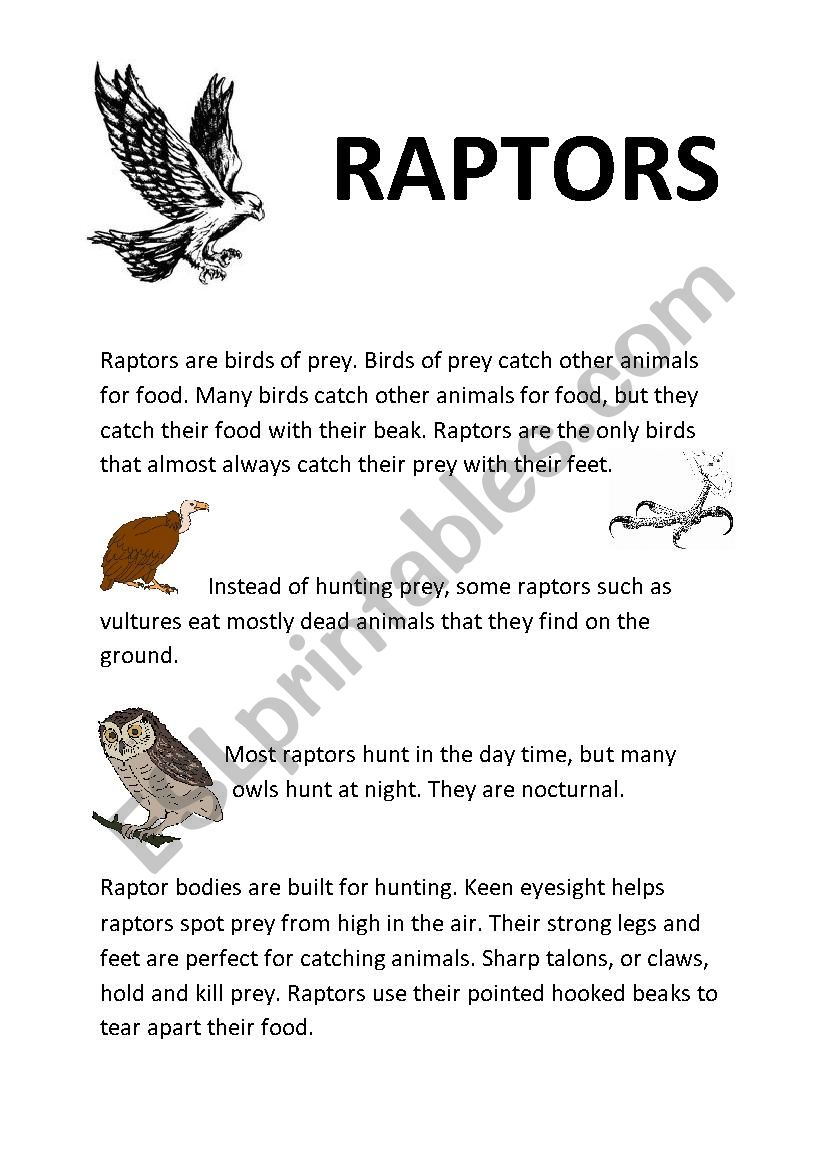 Raptors (Birds) - ESL worksheet by Apodo