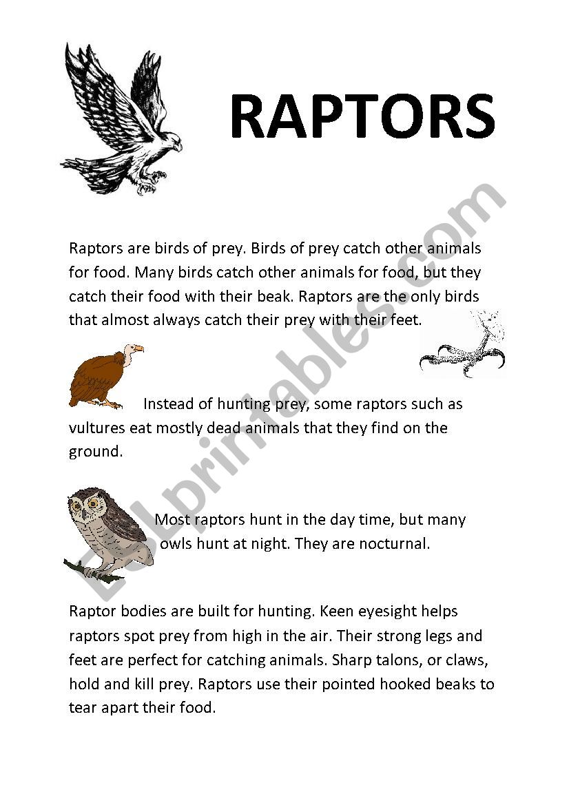 Raptors (Birds) worksheet