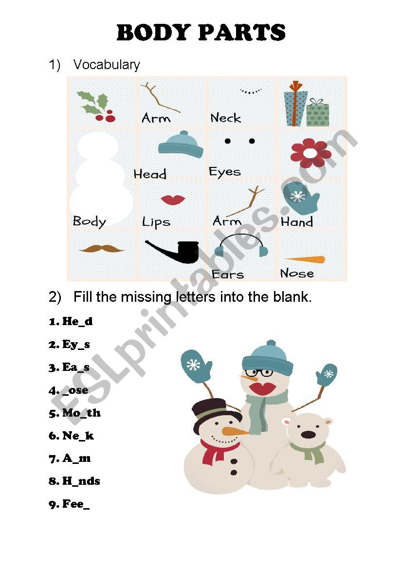 Body parts  worksheet