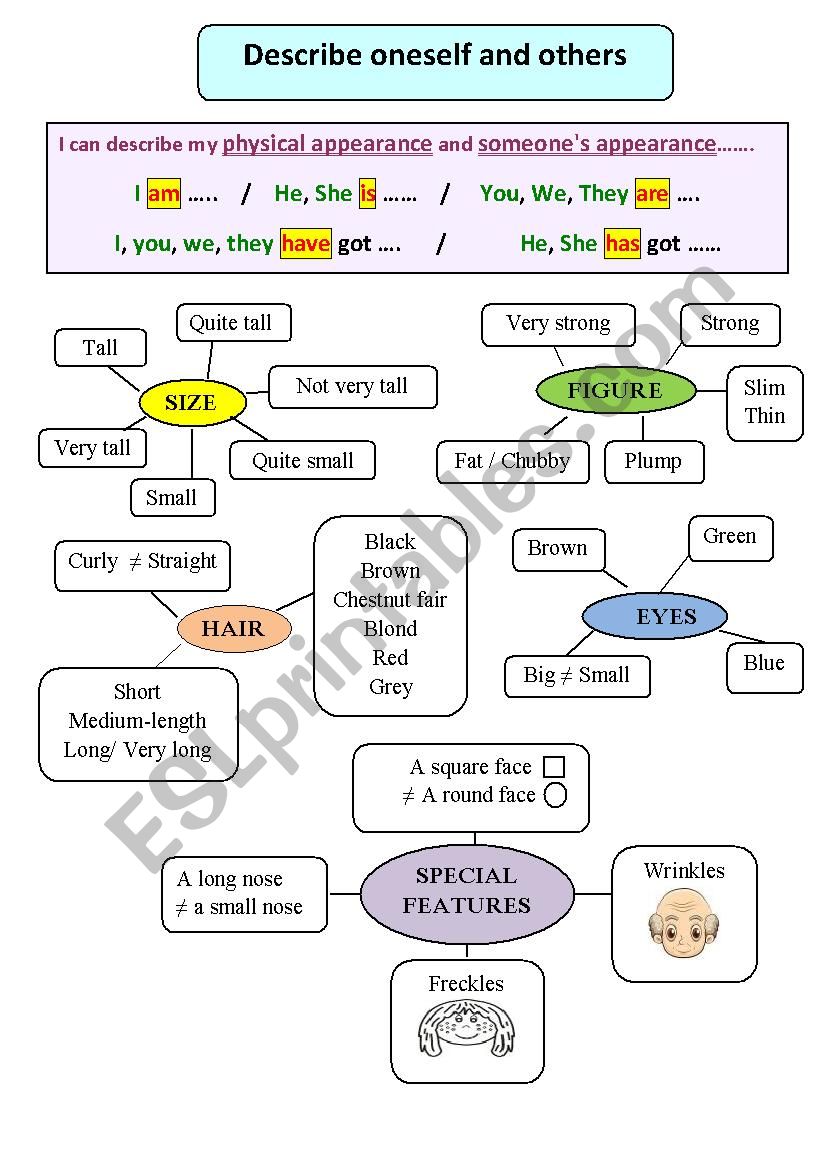 Appearance Appearance And Behavior