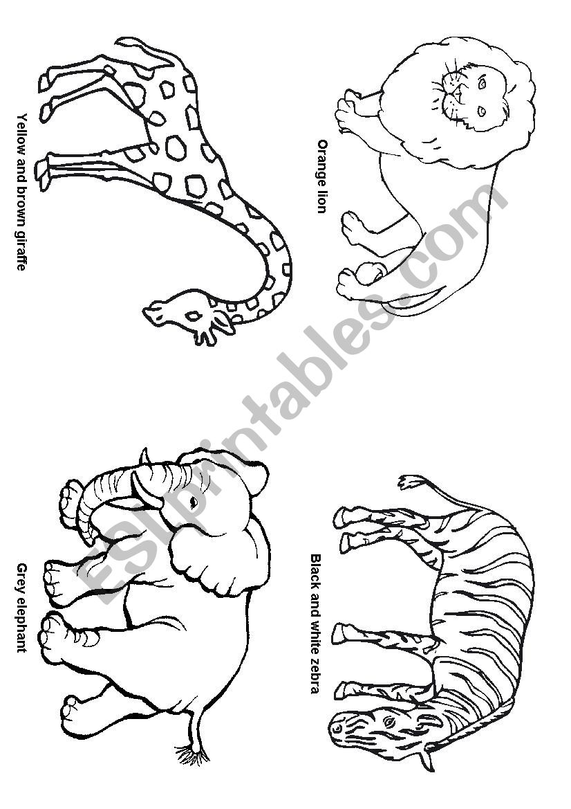 animals worksheet