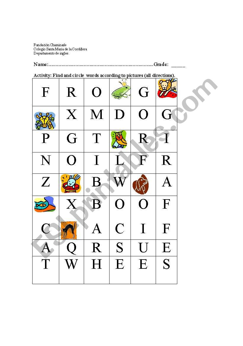 animals worksheet