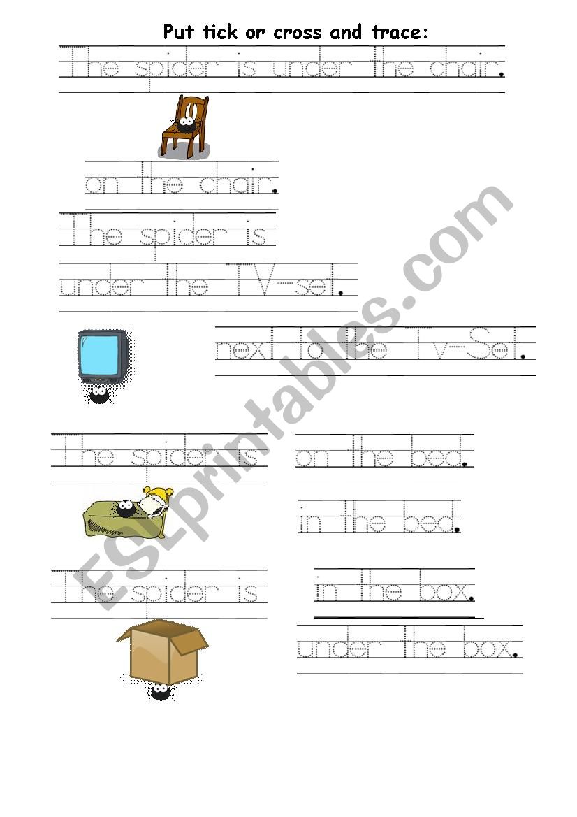 Tick or cross and trace Where is the spider?