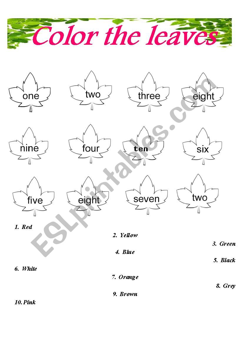 COLOR THE LEAVES worksheet