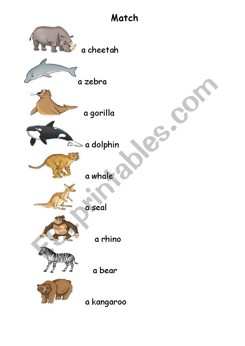 animals matching worksheet