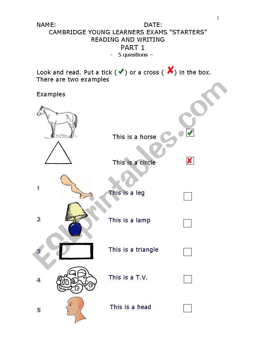  STARTERS  Exam - Cambrigde Young Learners