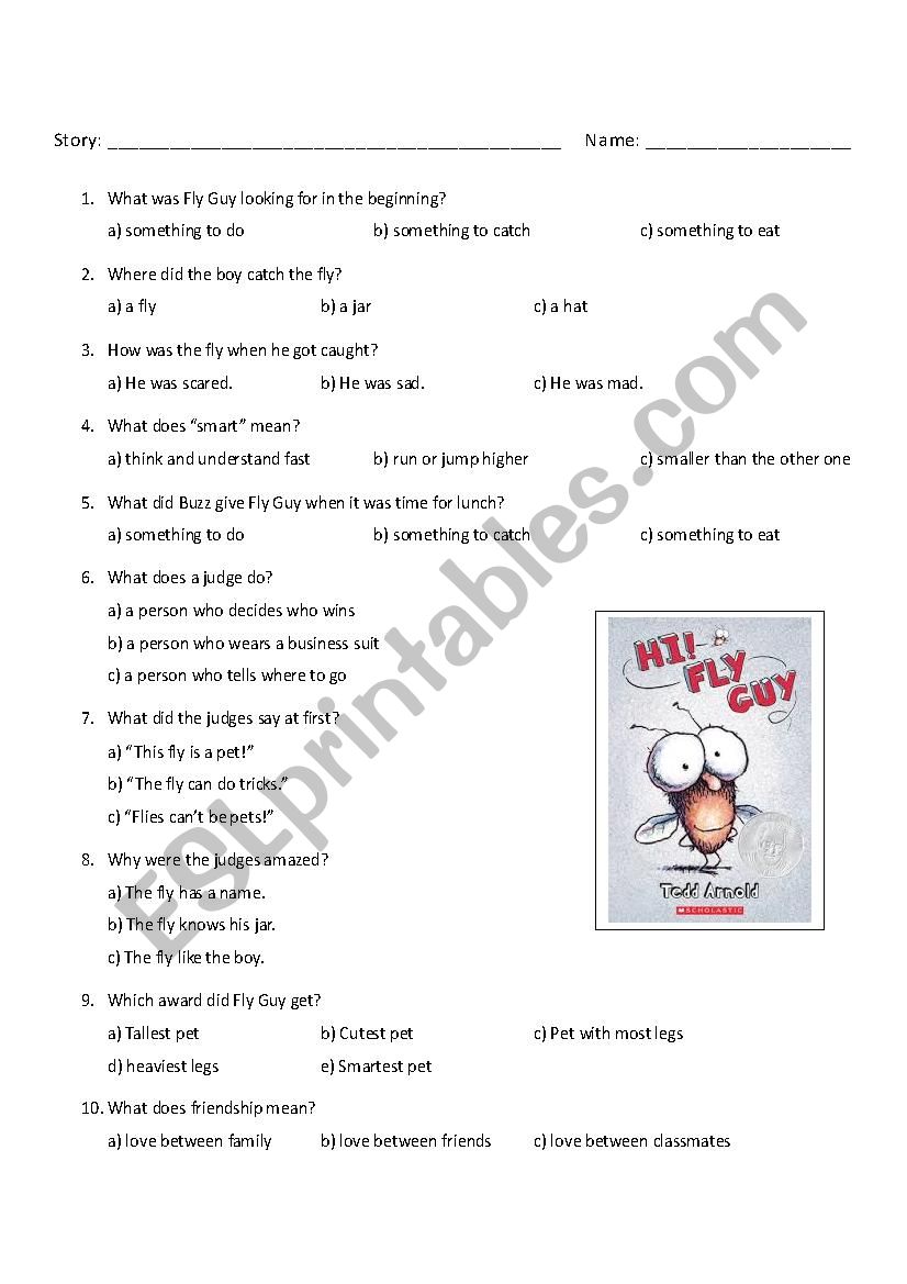 Hi Fly Guy worksheet