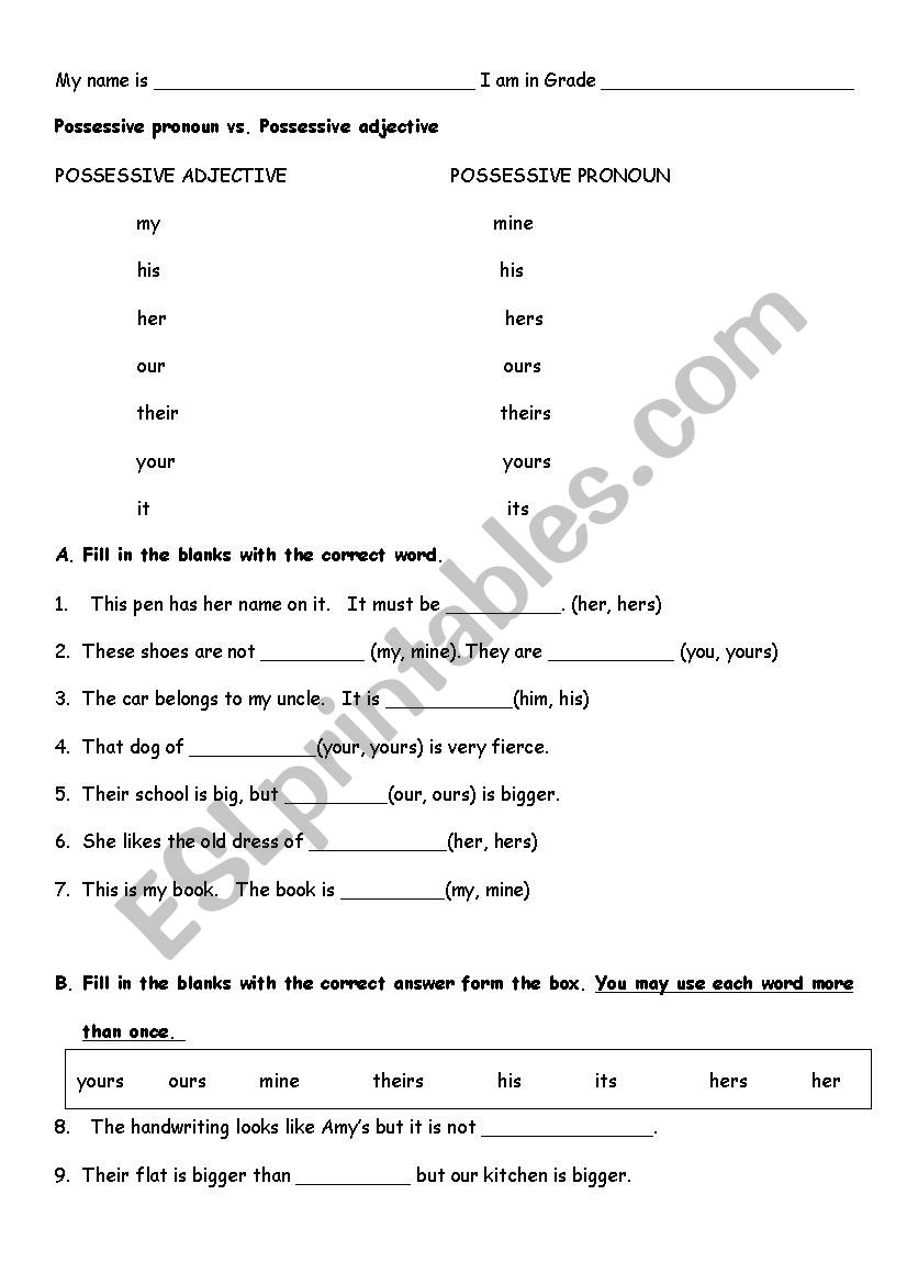 possessive adjective and possessive pronoun