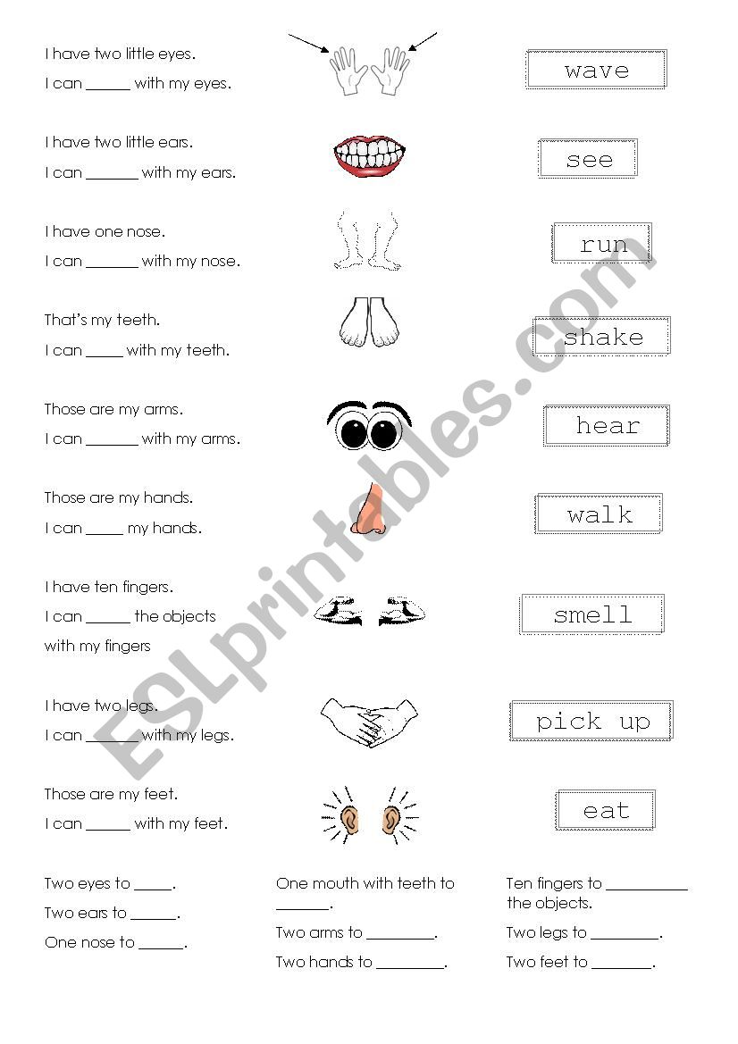 body parts actions worksheet worksheet