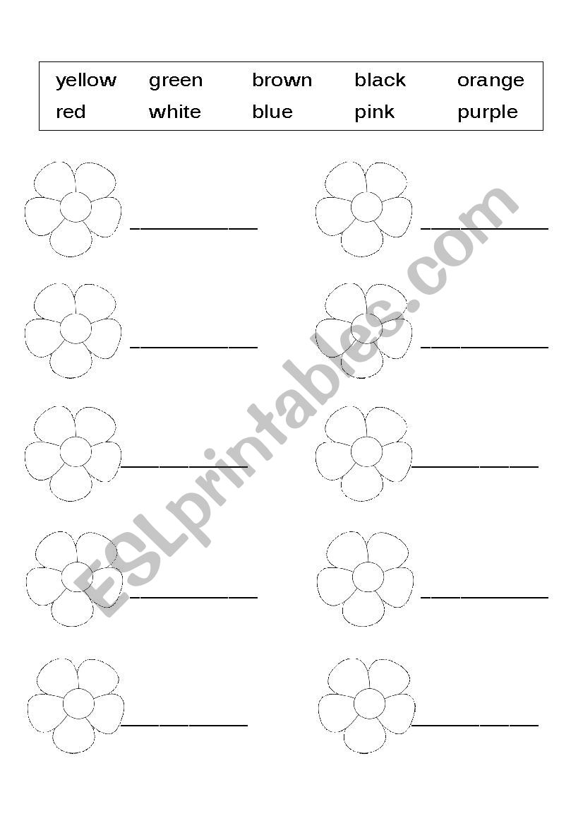 Simple color worksheet  worksheet