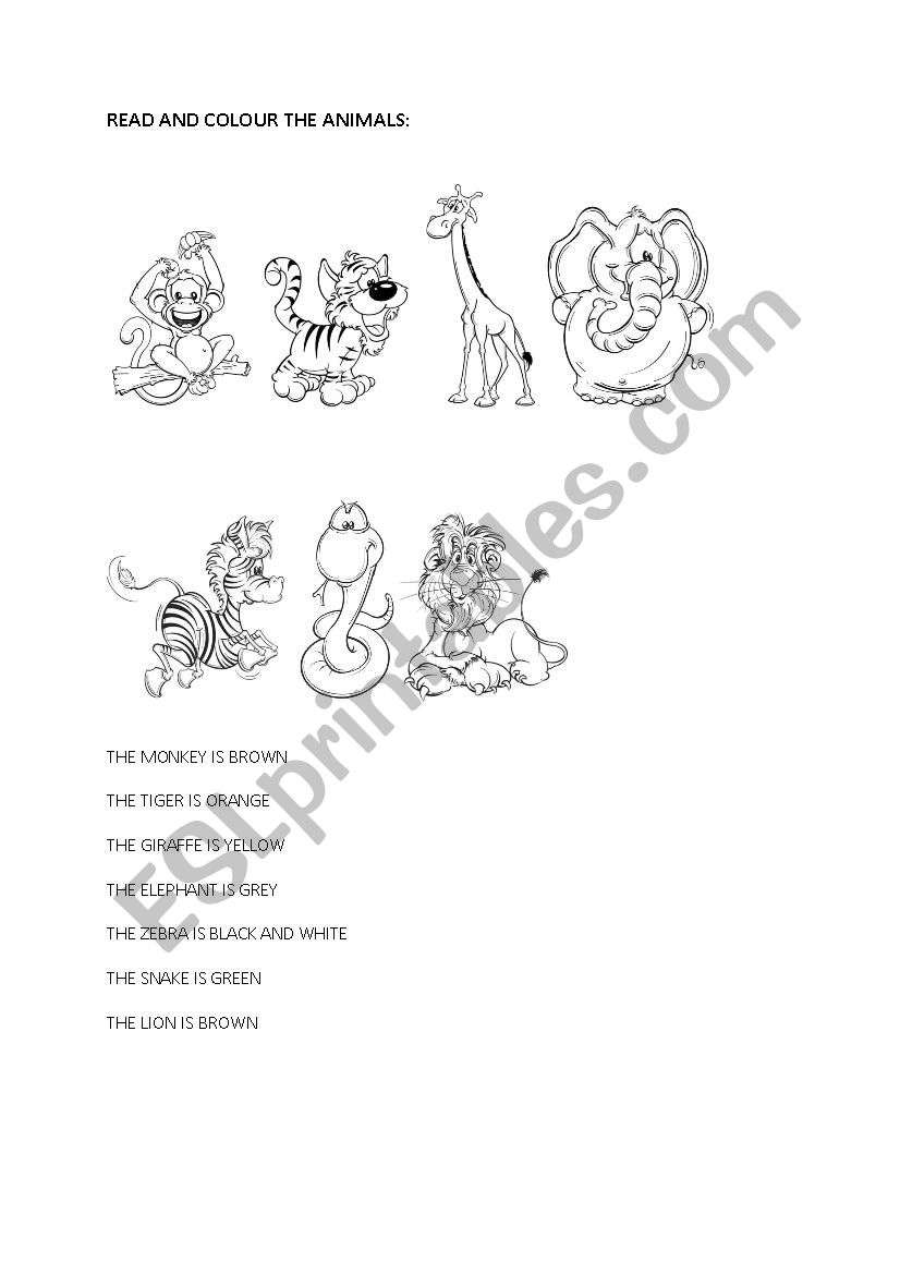 Animals worksheet