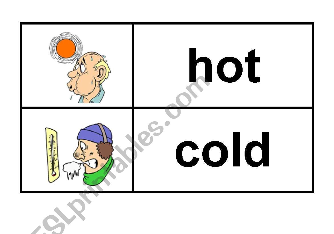 The Weather  - Wall cards worksheet
