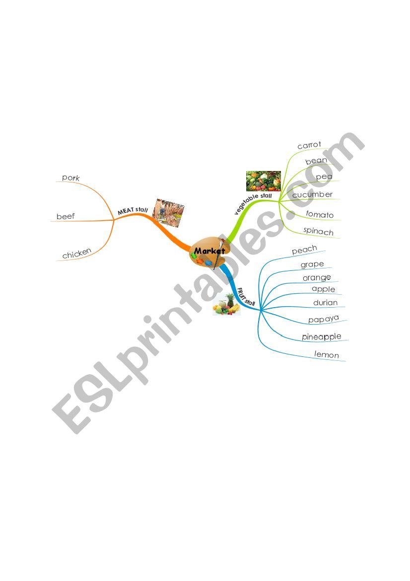 mindmap  worksheet