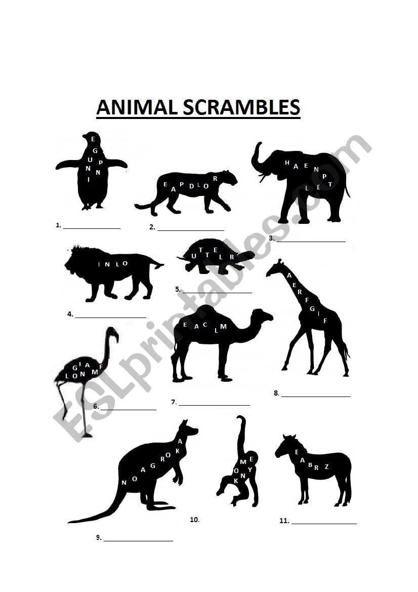 Animal Scrambles worksheet