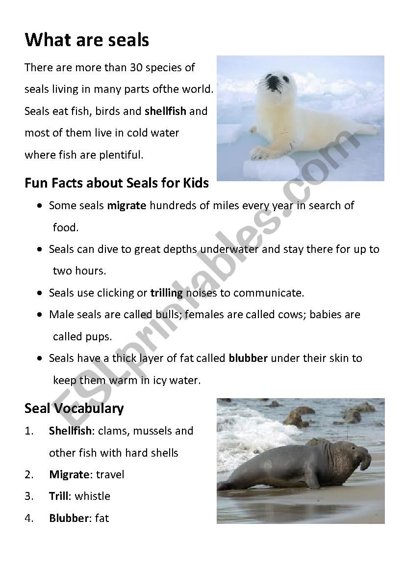 Seals worksheet worksheet