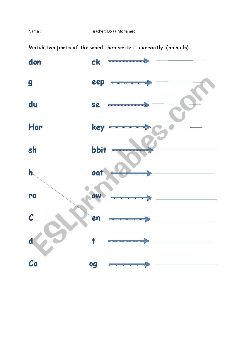 Animal vocab matching and writing