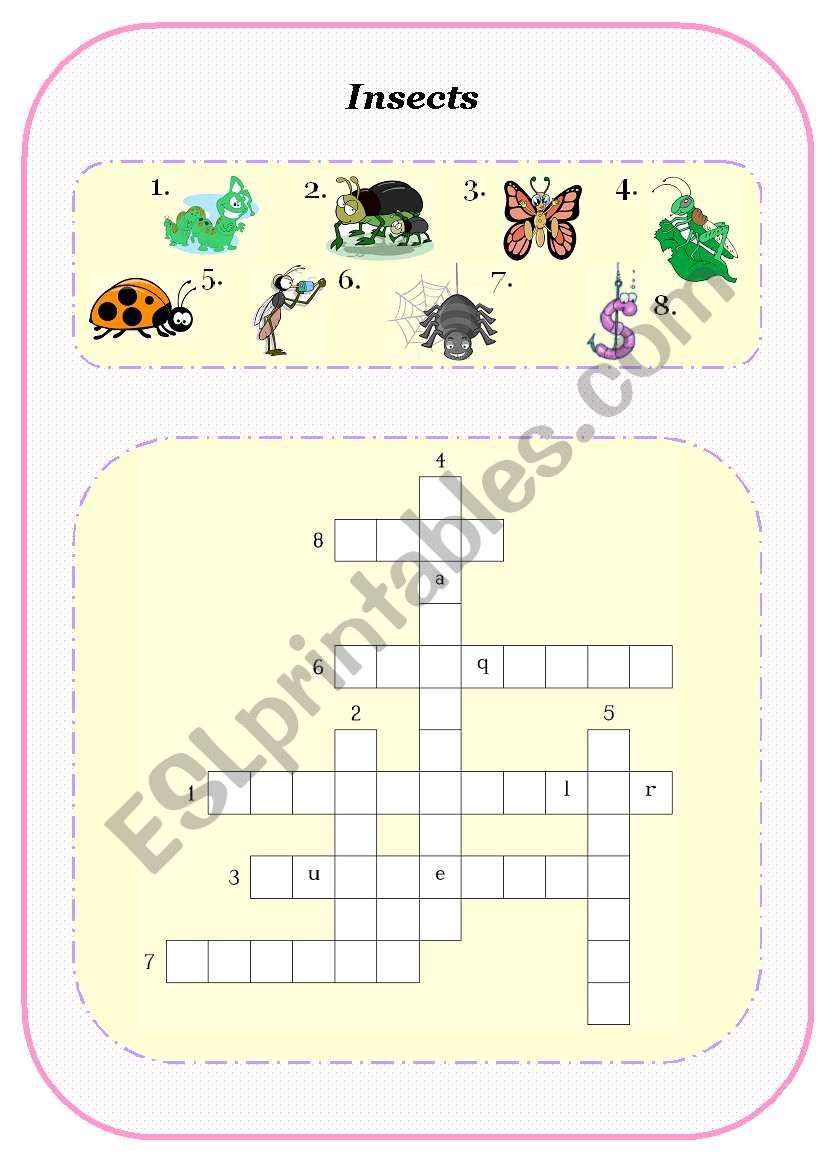 Insects worksheet