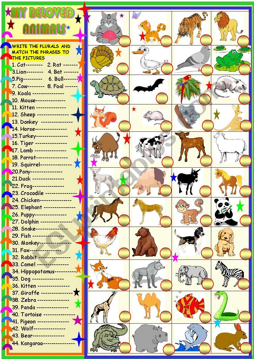 My beloved animals  plurals and matching