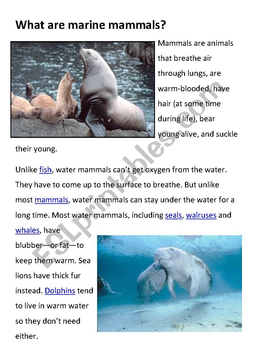 Fun facts on marine animals worksheets