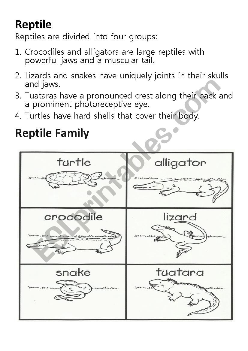 Fun facts on Reptile worksheet