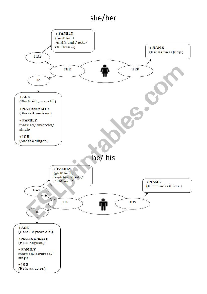 He/ His VS She/Her worksheet