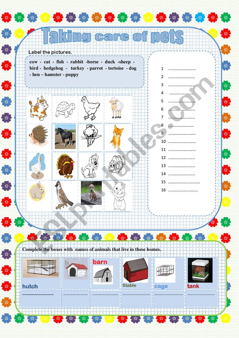 TAKING CARE OF PETS worksheet