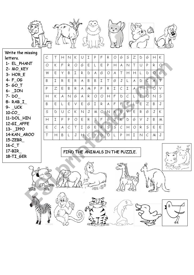 Animals worksheet