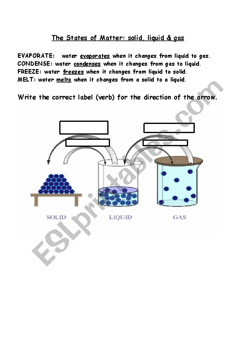 States of Matter verbs worksheet