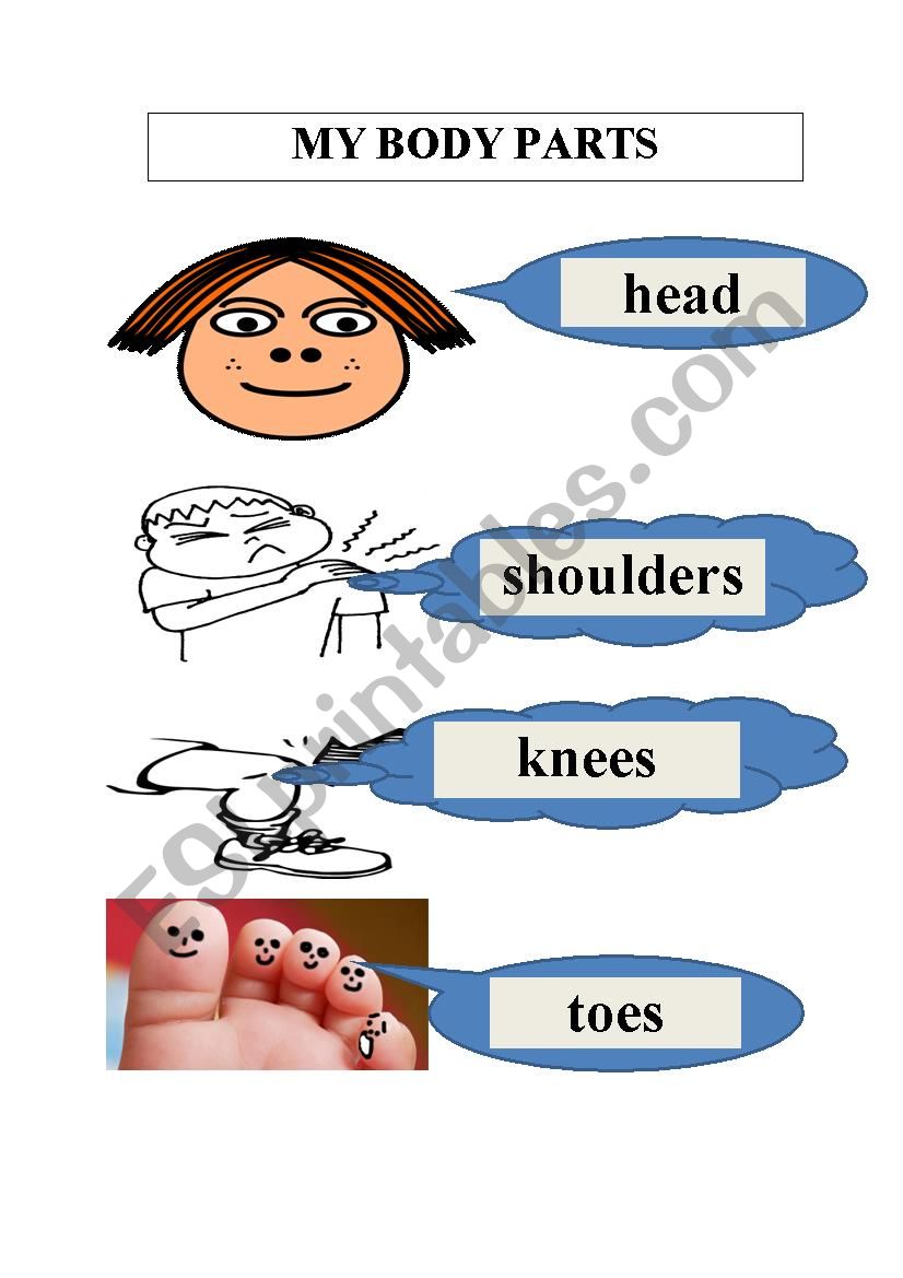 Body parts worksheet