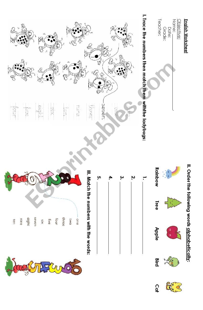 numbers worksheet