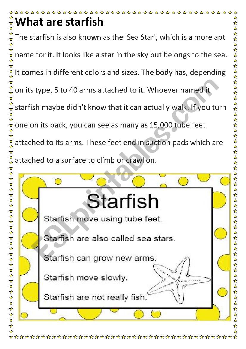 Worksheets on starfish worksheet