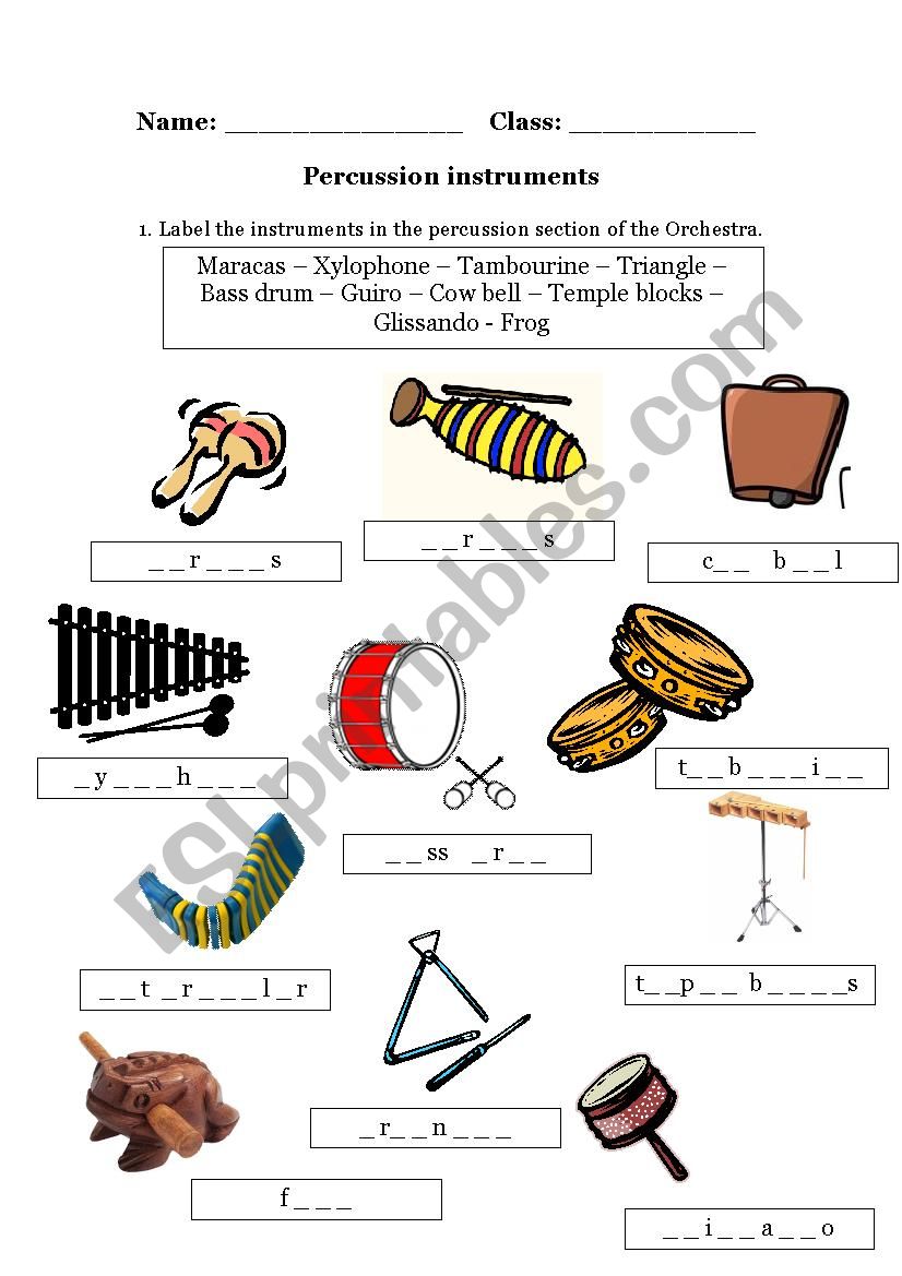 Music. Percussion instruments worksheet