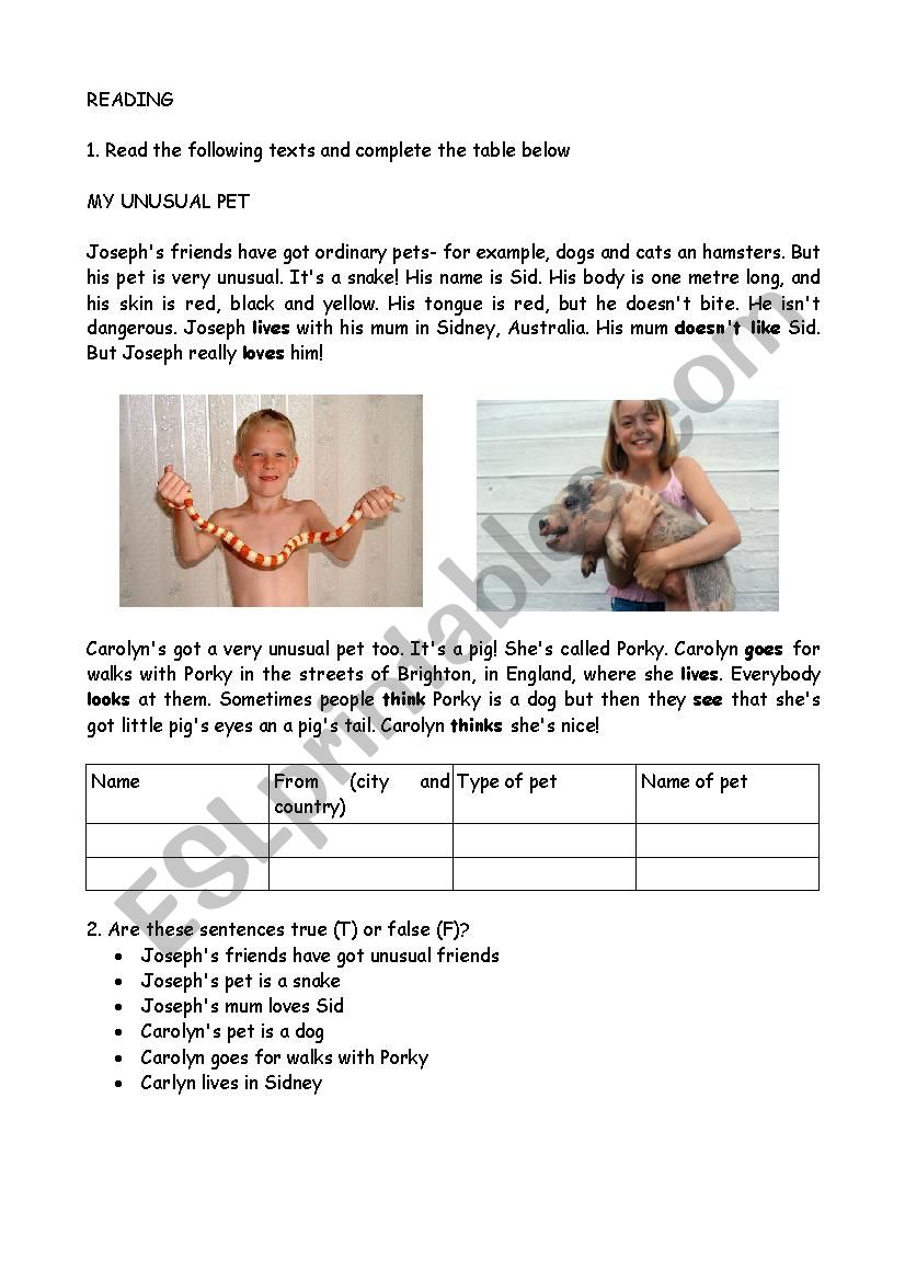 My unusual pet worksheet