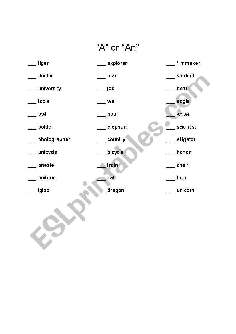 A/An Worksheet worksheet