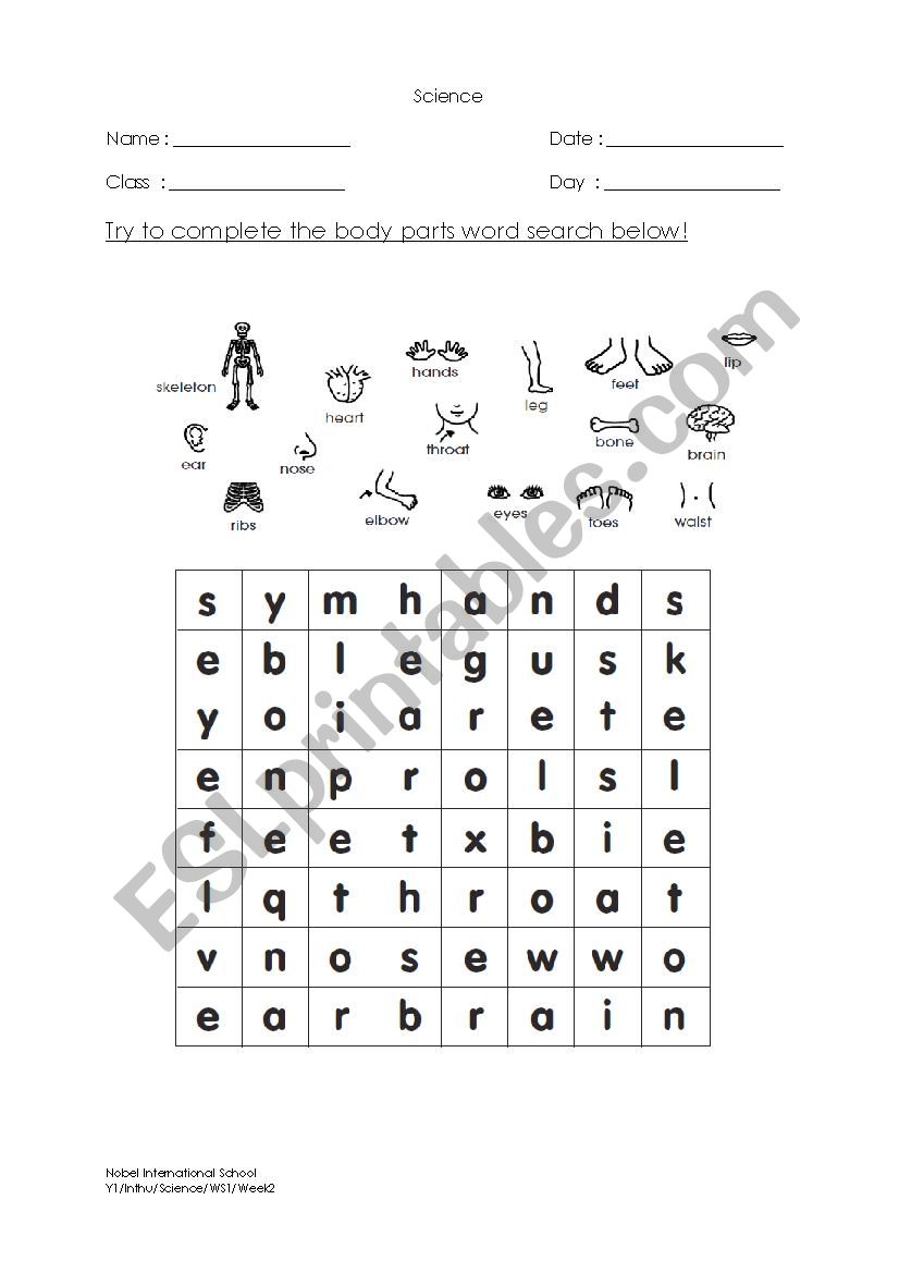 body parts word search worksheet