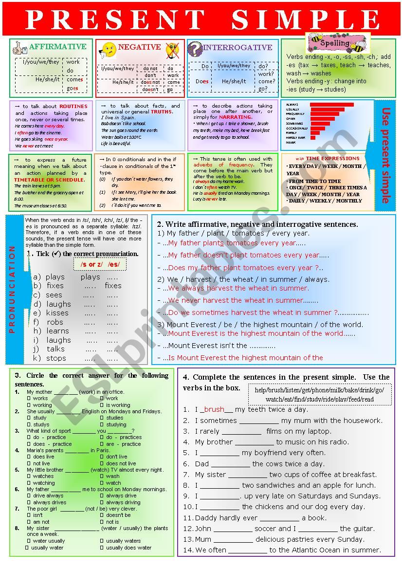 Gr - PRESENT SIMPLE Tense 1  worksheet