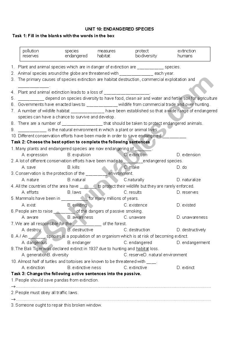 worksheet worksheet