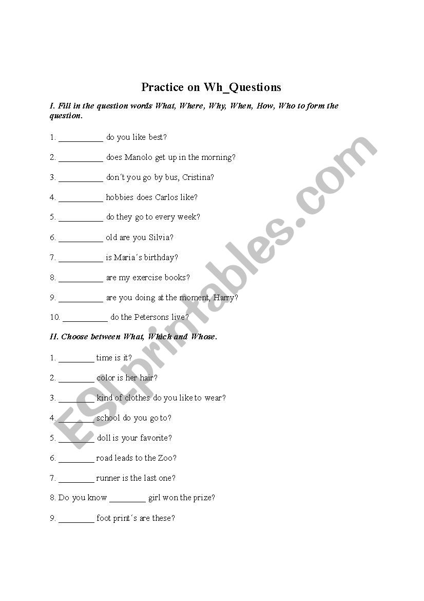 wh_ questions worksheet