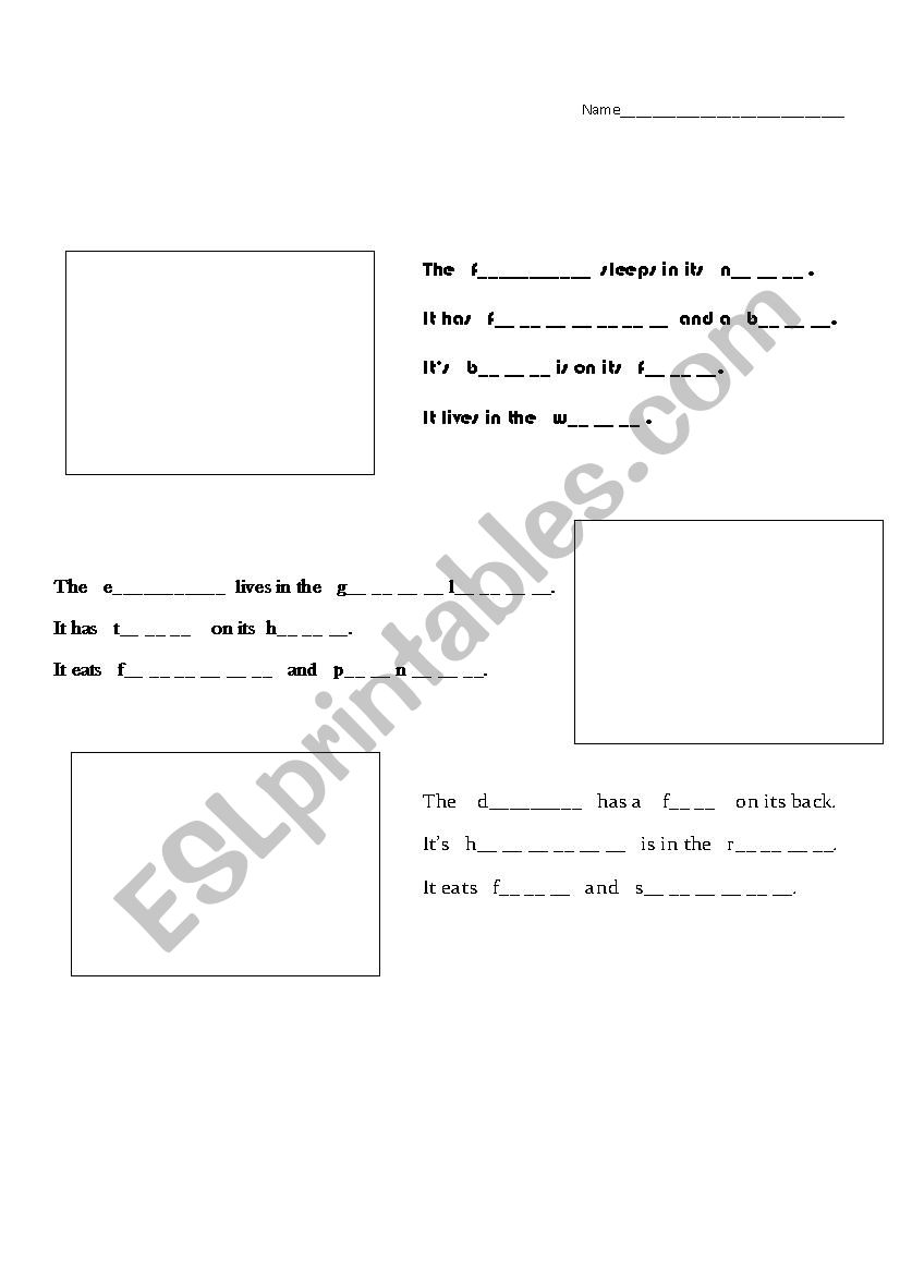 land air sea animal project worksheet