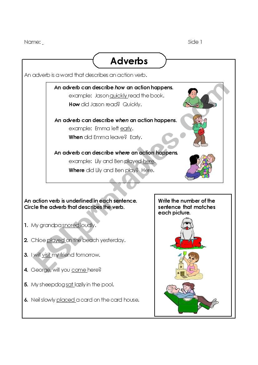 adverbs worksheet worksheet