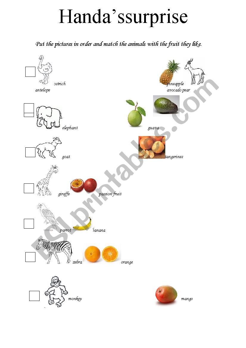 Handas surprise  worksheet