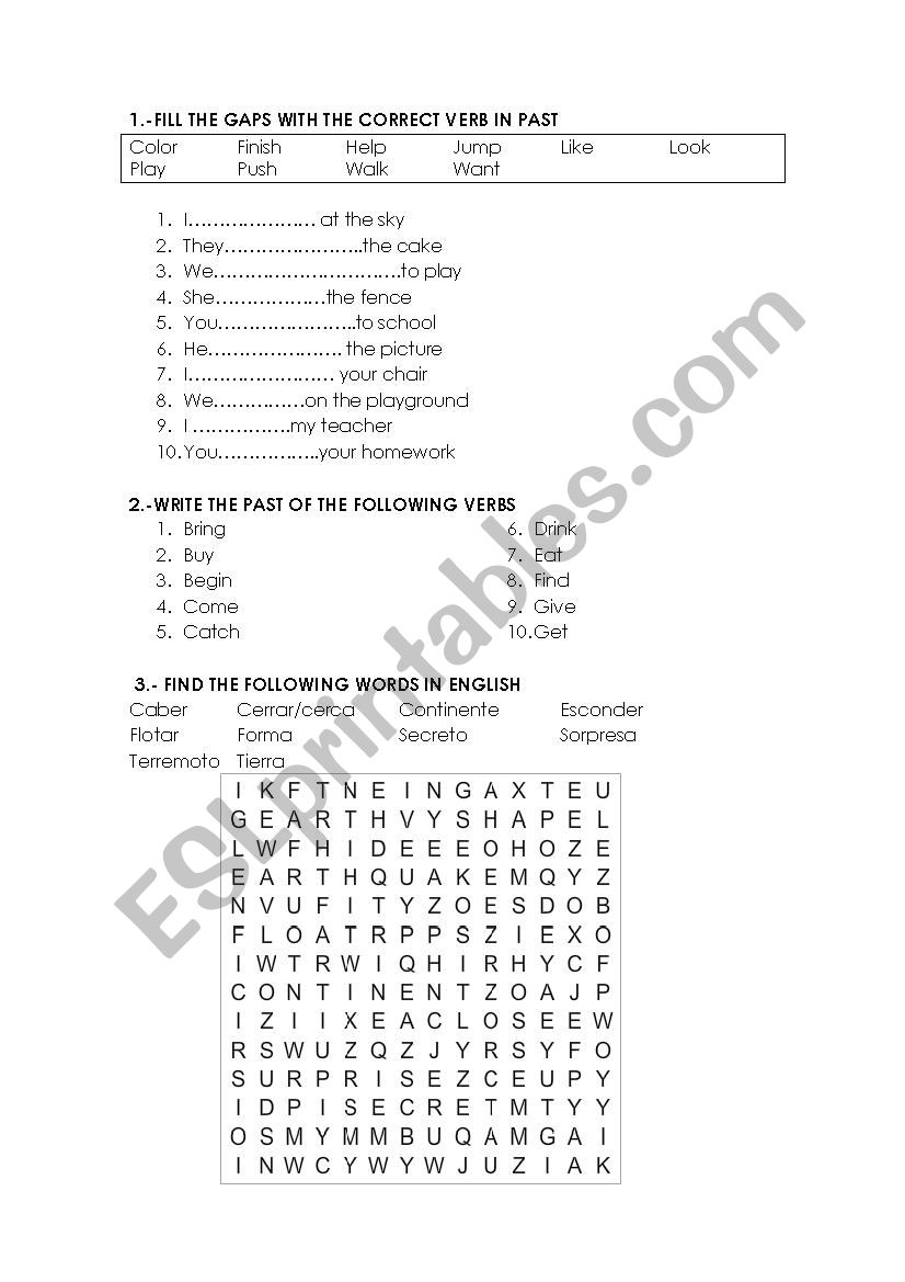 two types of whales worksheet